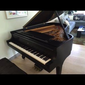 Steinway Baby Grand Piano Going Out For Free